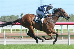 Adelaide Cup trial for Bullet
